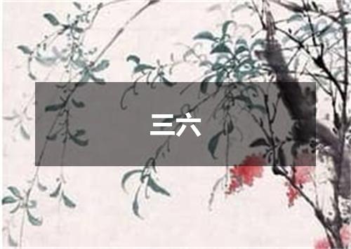 三六