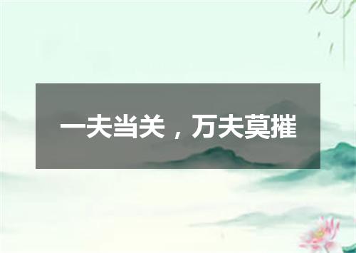 一夫当关，万夫莫摧