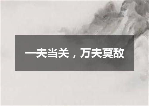 一夫当关，万夫莫敌