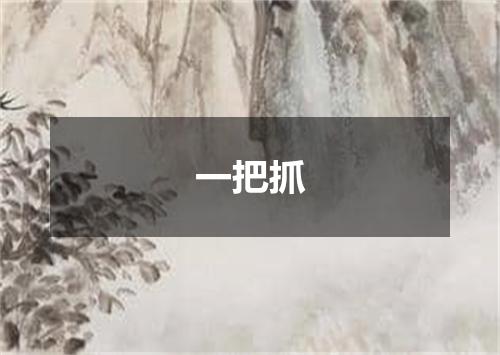 一把抓