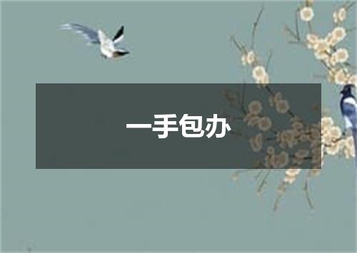 一手包办
