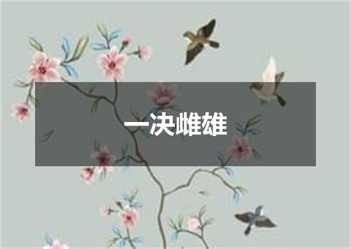 一决雌雄