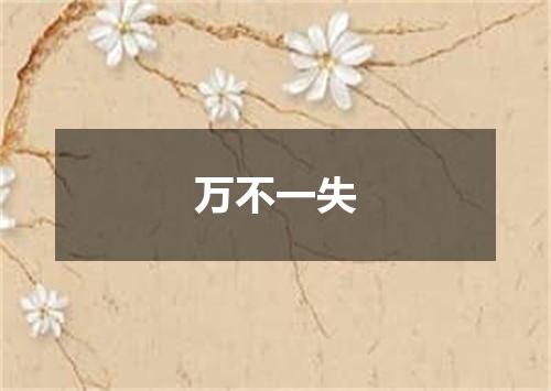 万不一失