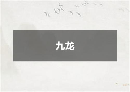 九龙