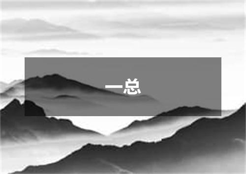 一总
