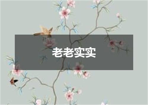 老老实实