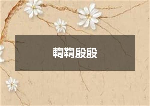 輷鞫殷殷