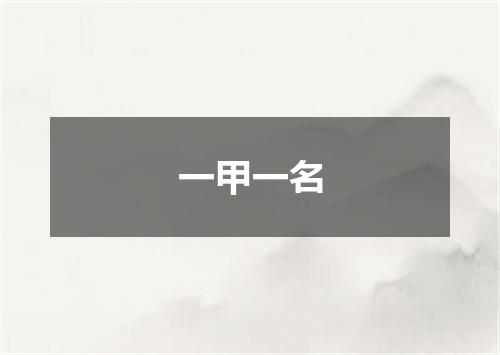 一甲一名