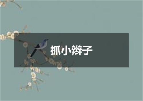 抓小辫子