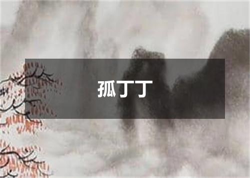 孤丁丁