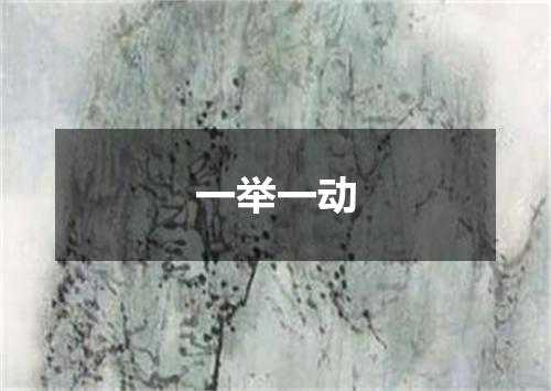 一举一动