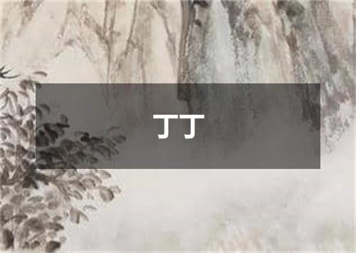 丁丁