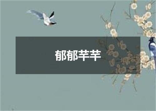 郁郁芊芊