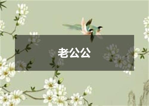 老公公