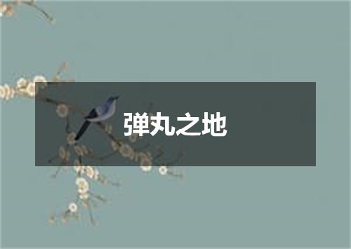 弹丸之地