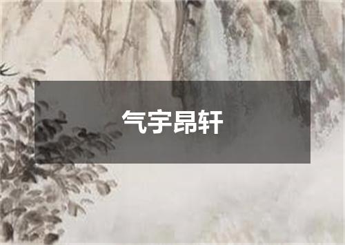 气宇昂轩
