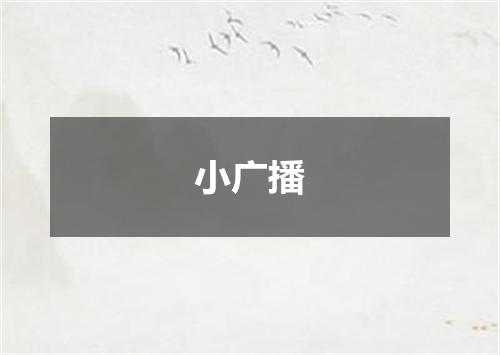 小广播