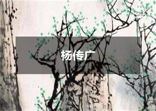 杨传广