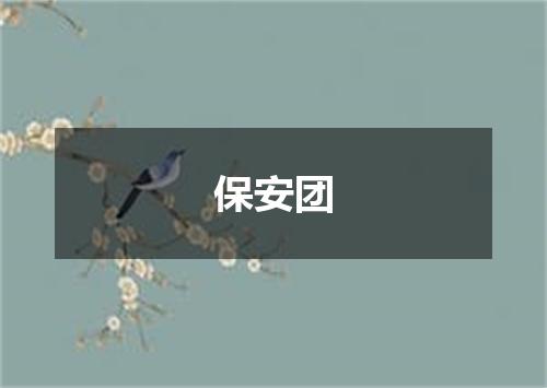 保安团