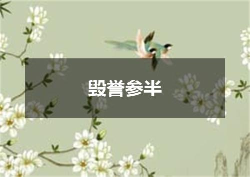 毁誉参半