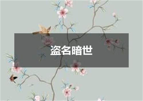 盗名暗世