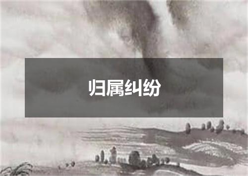 归属纠纷