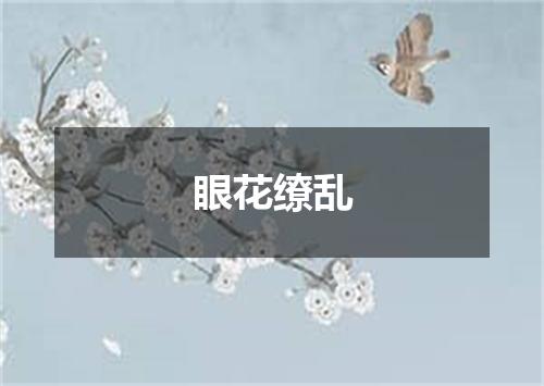 眼花缭乱