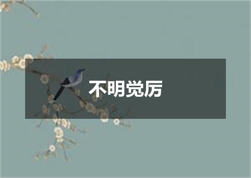 不明觉厉