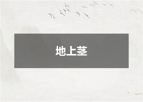 地上茎