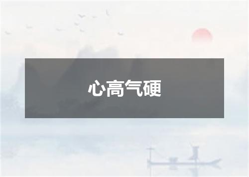 心高气硬