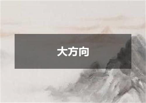 大方向