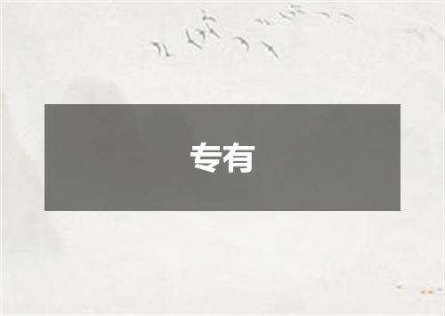 专有