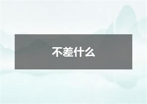 不差什么