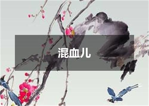 混血儿
