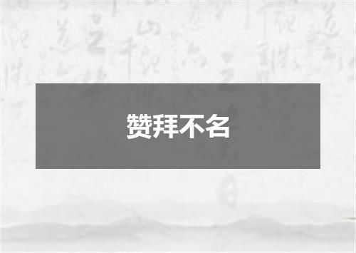 赞拜不名