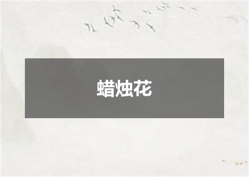 蜡烛花