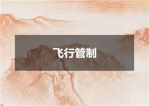 飞行管制