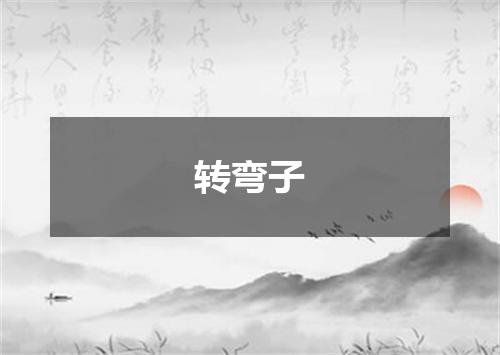 转弯子