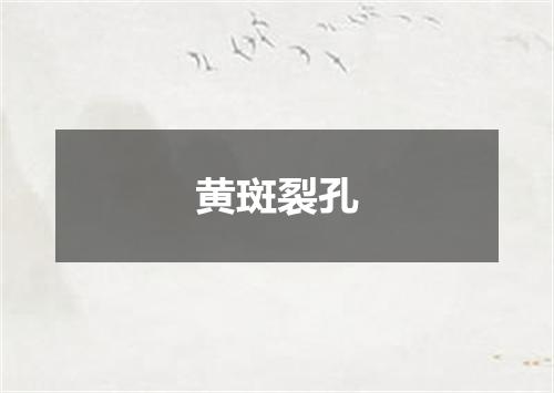 黄斑裂孔