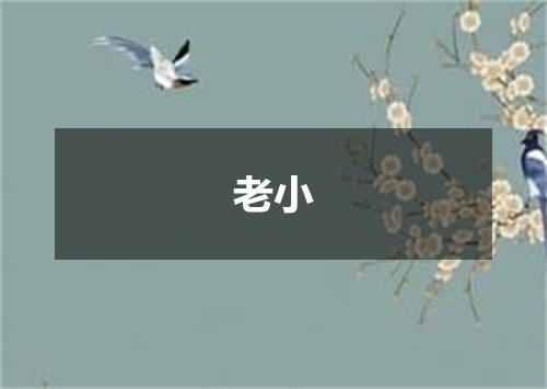 老小