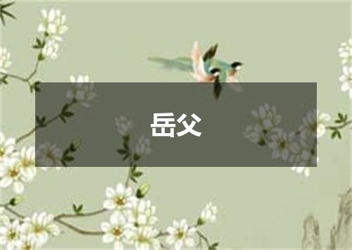 岳父