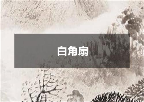 白角扇