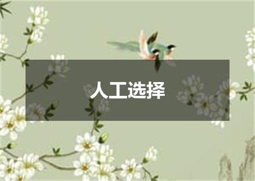 人工选择