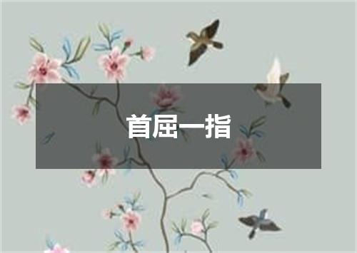 首屈一指