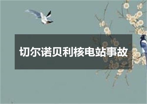 切尔诺贝利核电站事故