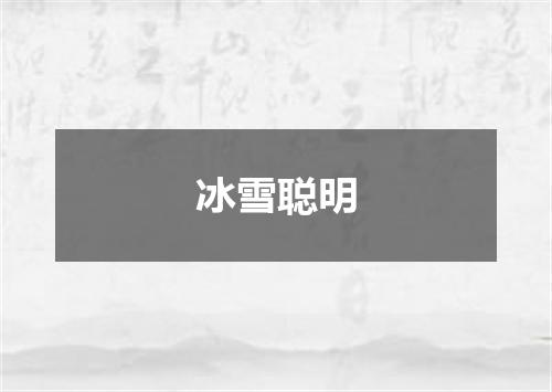 冰雪聪明