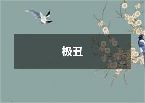 极丑