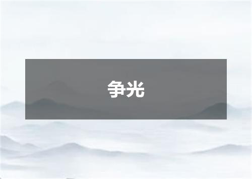 争光