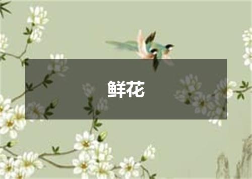 鲜花