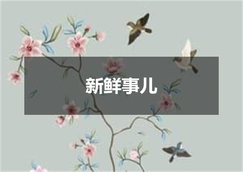 新鲜事儿